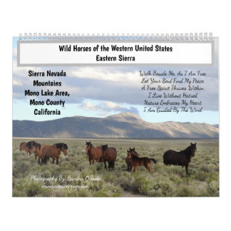 Calendar, Wild Horses, Eastern Sierra, California Calendar