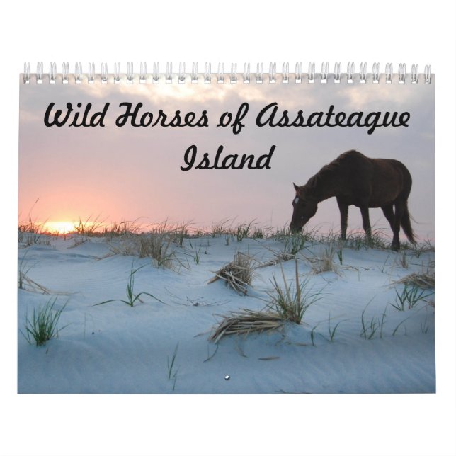 Calendar, Wild Horses of Assateague Island Calendar (Cover)