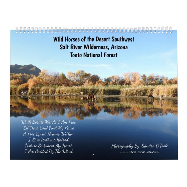 Calendar, wild horses, salt river, Arizona Calendar (Cover)