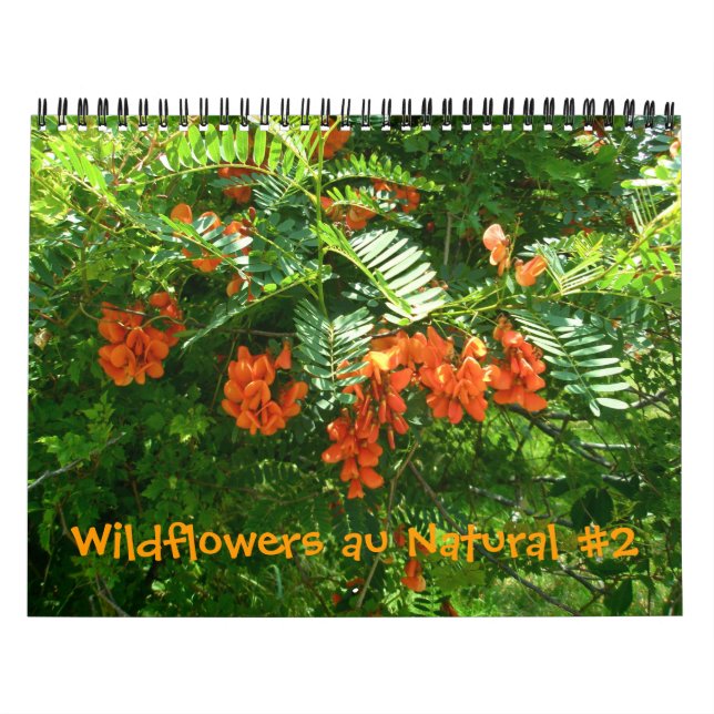 Calendar - Wildflowers au Natural #2 (Cover)
