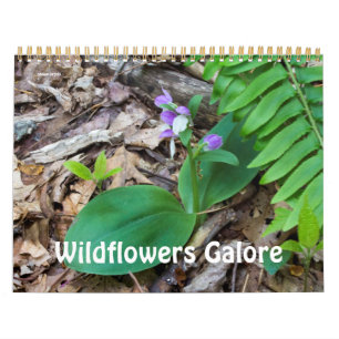 Calendar ~ Wildflowers Galore