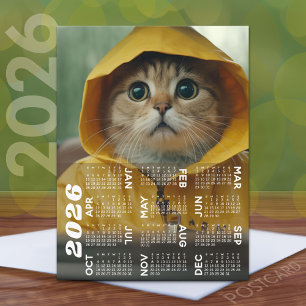 Calendar with cute cat dressed in yellow postcard