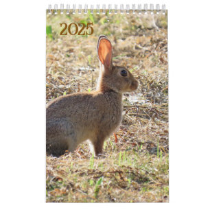 Calendar with images of nature