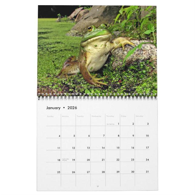 Calendar with pond frogs (Jan 2026)