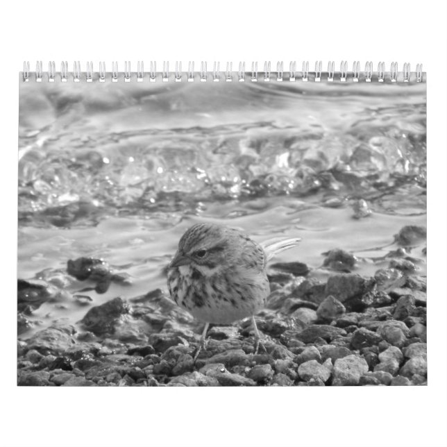 Calendario con fotos de pájaros en blanco y negro calendar (Cover)