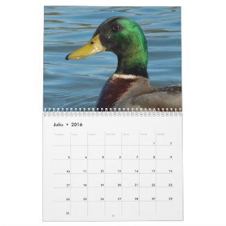 Calendario con fotos de patos y gansos en colour calendar