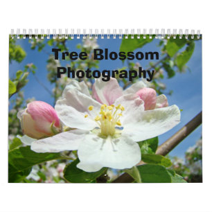 Calendars Photography Tree Blossoms Nature