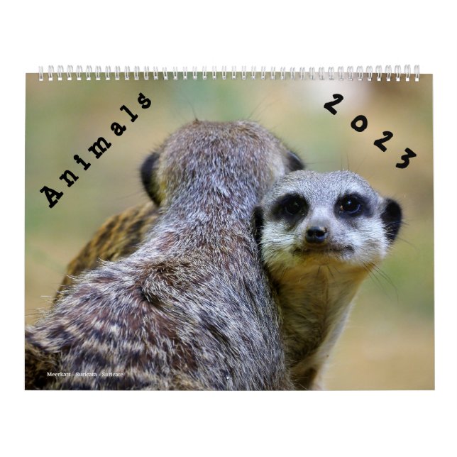 Calendrier 2023 Animaux Calendar (Cover)