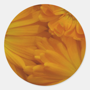 Calendula Classic Round Sticker