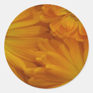 Calendula Classic Round Sticker