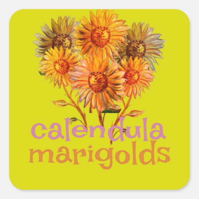 calendula marigolds square sticker (Front)