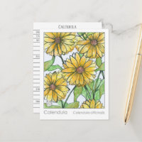 Calendula Materia Medica Herbal Study Card
