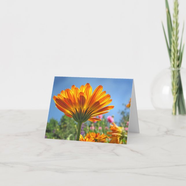 Calendula Note Card (Front)