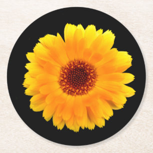 Calendula Officinalis Round Paper Coaster