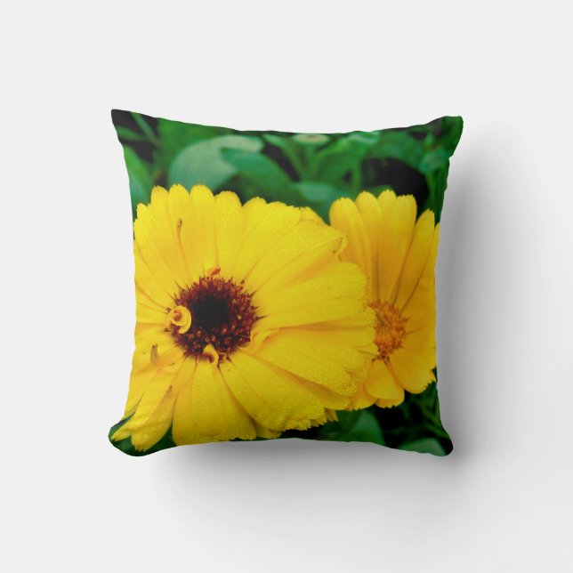 Calendula Officinalis Throw Cushion (Front)