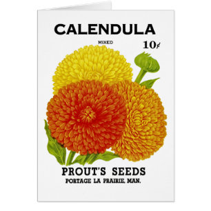 Calendula Vintage Seed Packet