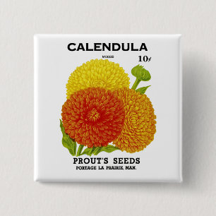 Calendula Vintage Seed Packet 15 Cm Square Badge