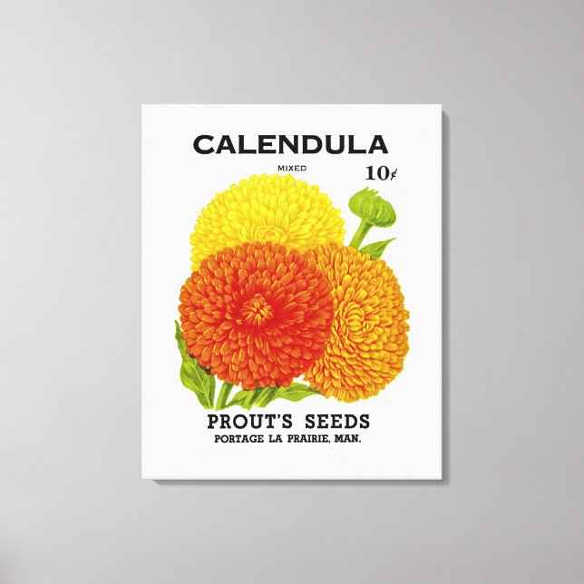 Calendula Vintage Seed Packet Canvas Print (Front)