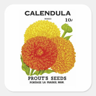 Calendula Vintage Seed Packet Square Sticker