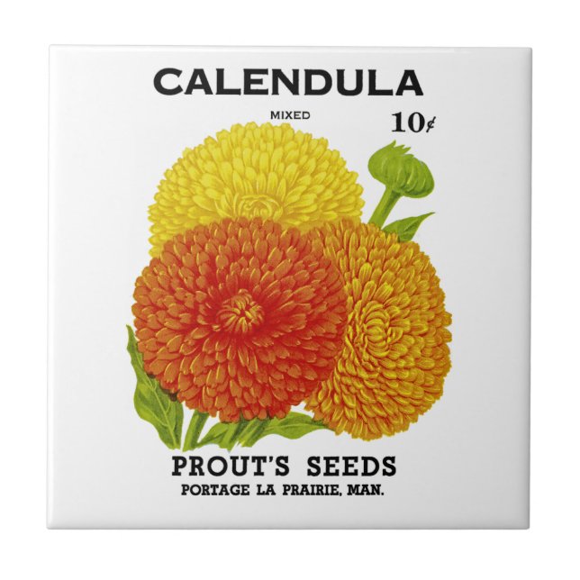 Calendula Vintage Seed Packet Tile (Front)
