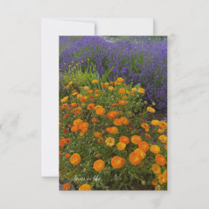 Calendulas & Lavender Card