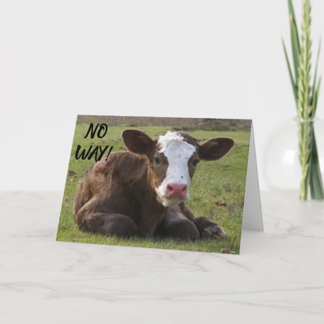 CALF CAN'T BELIEVE YOU ARE ***40*** BIRTHDAY CARD (Front)