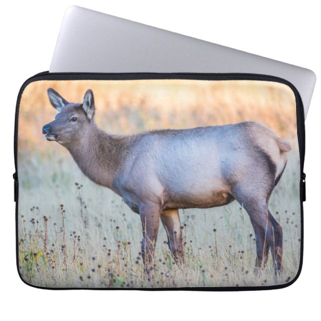 Calf Elk | Madison Junction, Wyoming Laptop Sleeve (Front)