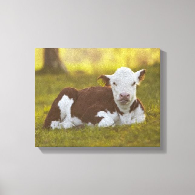 Calf Resting Canvas Print (Front)