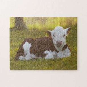 Calf Resting Jigsaw Puzzle