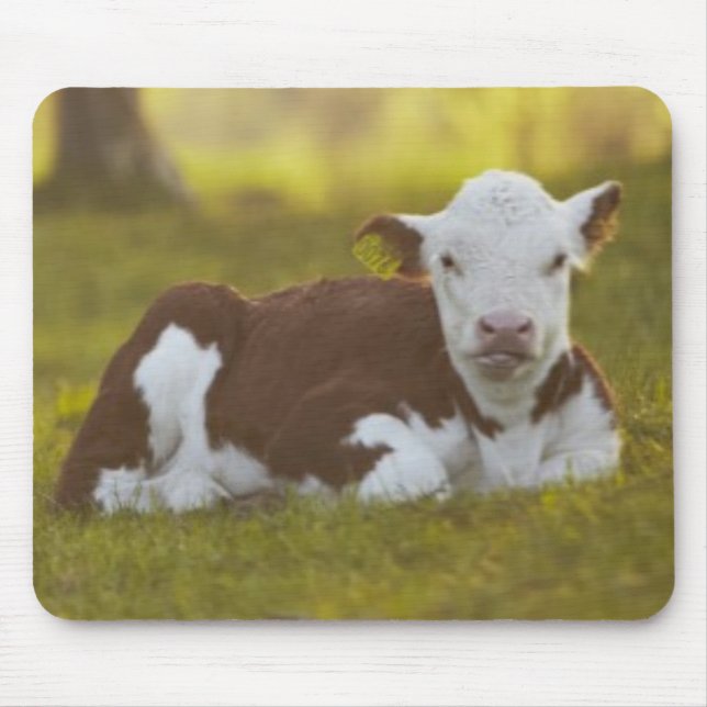 Calf Resting Mouse Mat (Front)