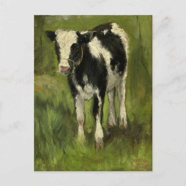Calf, Spotted Black and White | Geo Poggenbeek Postcard (Front)