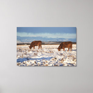 calgary, alberta, canada 2 canvas print