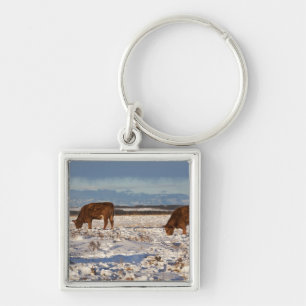 calgary, alberta, canada 2 key ring