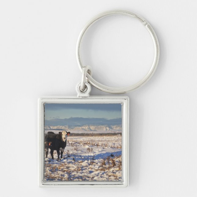 calgary, alberta, canada key ring (Front)