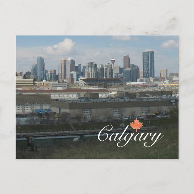 Calgary Alberta Postcard (Front)