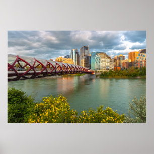 Calgary Cityscape and Peace Bridge Scenic View Poster