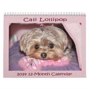 Cali Lollipop 2014 12-Month Calendar