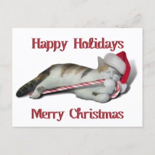 Cali, the Candy Cane Kitty Postcard