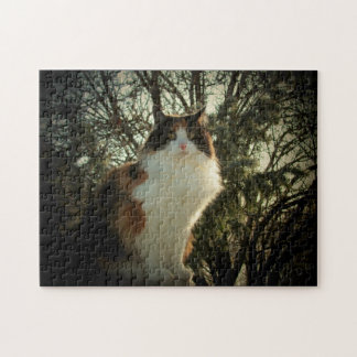 Calico and pine or your photo jigsaw puzzle