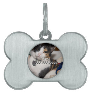 Calico And Snowmen Pet ID Tag