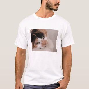 Calico Beauty Cat T-Shirt