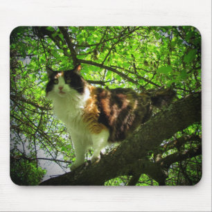 Calico bird hunter mouse mat