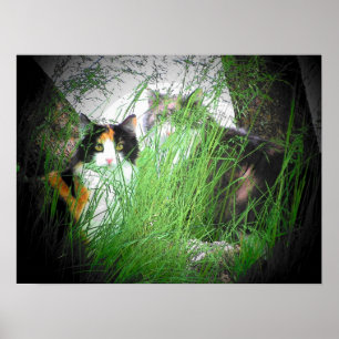 Calico Camo Cats Poster