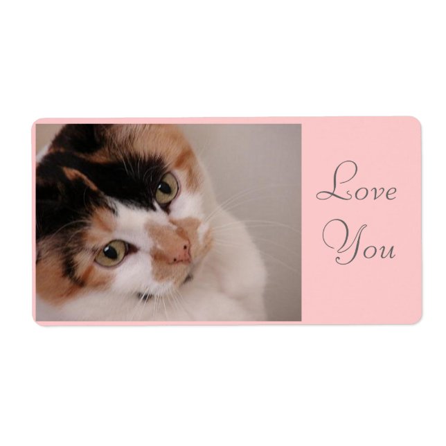 Calico Cat (Front)