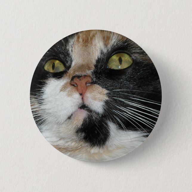 Calico Cat 6 Cm Round Badge (Front)