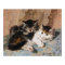 Calico Cat and Grey Kitten Fine Art Painting