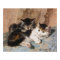 Calico Cat and Grey Kitten Fine Art Painting