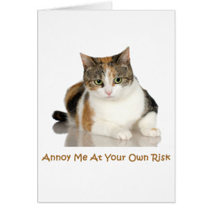 Calico Cat: Annoy Me At Your Own Risk