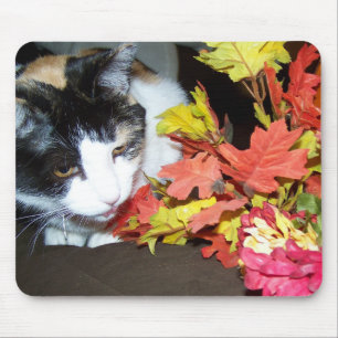 Calico Cat Autumn Fall Leaves Mousepad