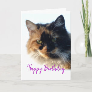 Calico cat Birthday Card